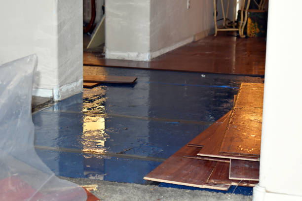 Professional Burst Pipe Cleanup technician working in Leopolis, WI